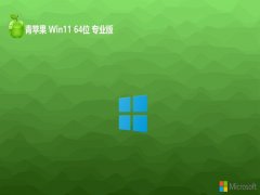 ��ƻ��ϵͳ����win11 64λ���ʷ�����v2026.03