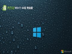 ��ײ�win11 64λ��ǿ���°�v2026.03